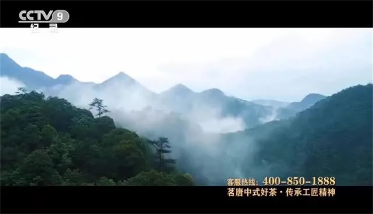 祝賀茗唐 | 榮登央視·展播品牌 CCTV-9