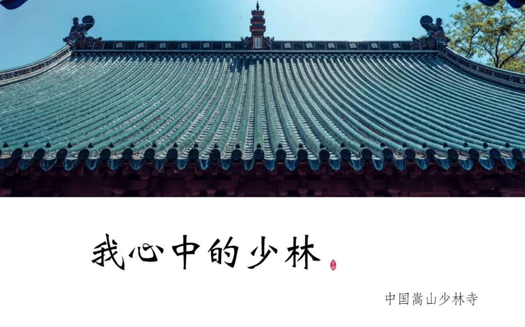 茗唐  結(jié)緣少林寺大方丈釋永信，一禪一茶，禪茶交融！
